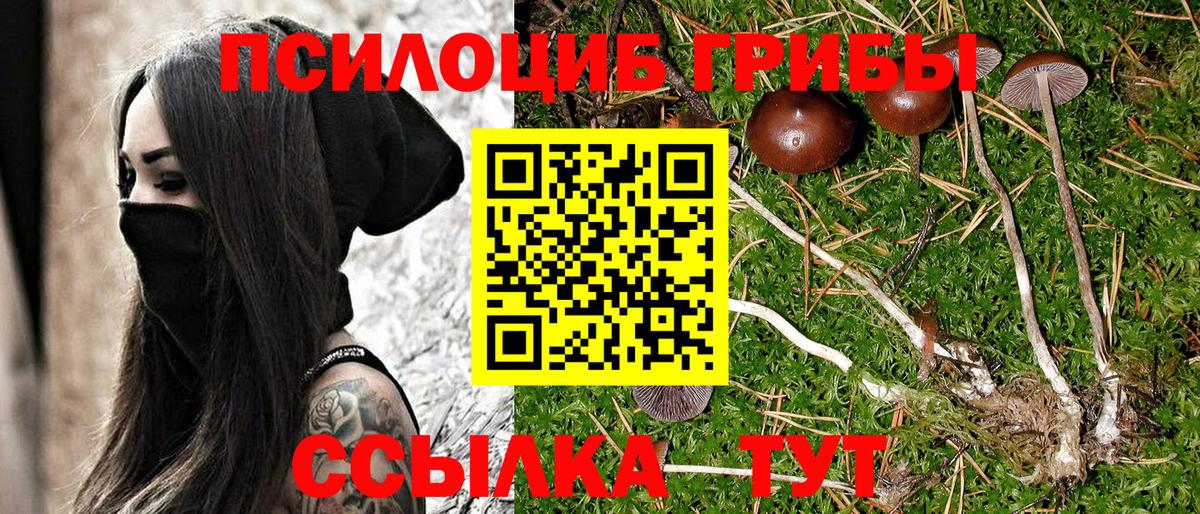 Псилоцибиновые грибы Psilocybine cubensis  Вход с VPN  Хабаровск  Галлюциногенные грибы мухоморы 